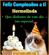 GIF Gato meme Feliz Cumpleaños Hermelinda